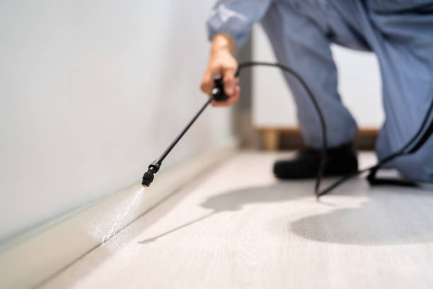 Licensed Pest Control service in Wilton Manors, FL - Show Me Pest Control