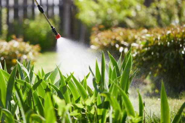 24/7 Emergency Wasp Removal experts in Wilton Manors, FL