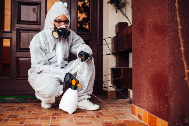 Reliable Wasp Removal contractor in Wilton Manors, FL by Show Me Pest Control